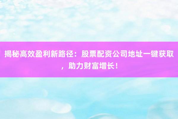 揭秘高效盈利新路径：股票配资公司地址一键获取，助力财富增长！