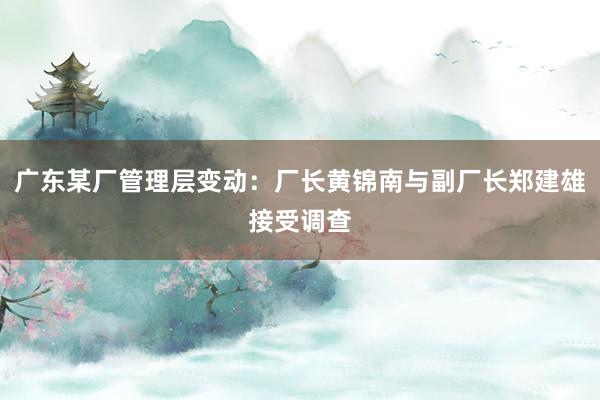 广东某厂管理层变动：厂长黄锦南与副厂长郑建雄接受调查