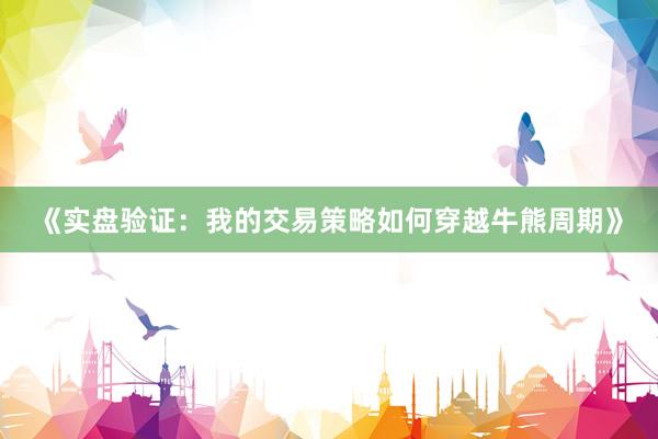 《实盘验证：我的交易策略如何穿越牛熊周期》