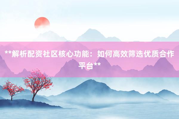 **解析配资社区核心功能：如何高效筛选优质合作平台**