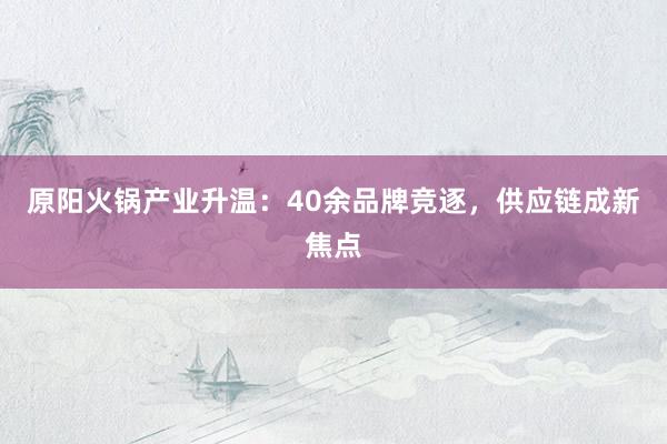 原阳火锅产业升温：40余品牌竞逐，供应链成新焦点