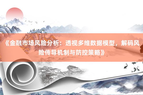 《金融市场风险分析：透视多维数据模型，解码风险传导机制与防控策略》
