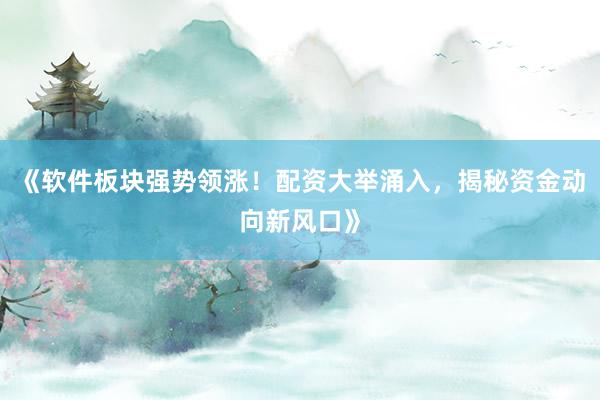 《软件板块强势领涨！配资大举涌入，揭秘资金动向新风口》