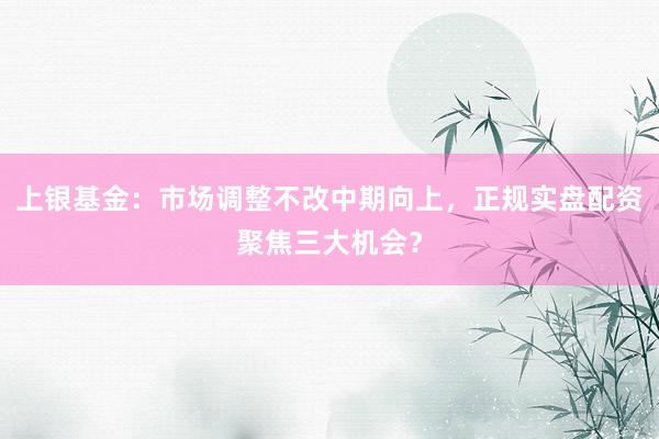 上银基金：市场调整不改中期向上，正规实盘配资聚焦三大机会？