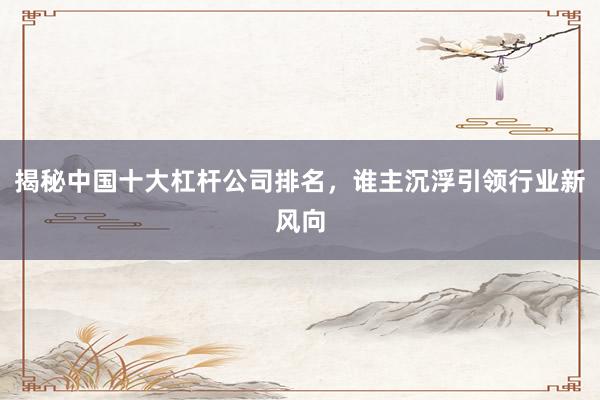 揭秘中国十大杠杆公司排名，谁主沉浮引领行业新风向